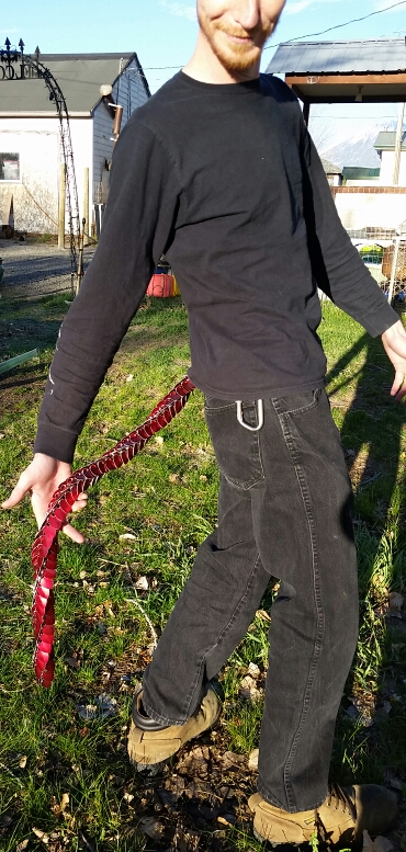 Standard Tail